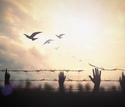 Silhouetted hands reach upward behind strands of barbed wire as birds fly across a glowing sunset sky in the background.