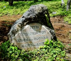 Holocaust memorial and righteous avenue located in Yad Vashem in Jerusalem, Israel. Holocaust memorial in Yad Vashem is a remembrance for Jewish victims during WWII.