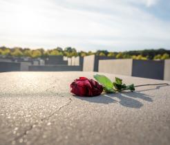 A single red rose lies on a flat concrete slab at a memorial site. In the background, rows of rectangular gray stone blocks stretch into the distance, slightly out of focus. The scene is outdoors under a clear sky, with trees visible beyond the memorial, conveying a quiet and reflective atmosp