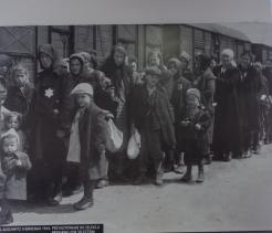 Black-and-white photograph of Jewish men, women, and children wearing coats and carrying bags, standing in a line beside a train at Auschwitz-Birkenau in 1944, many with Star of David badges visible on their clothing.