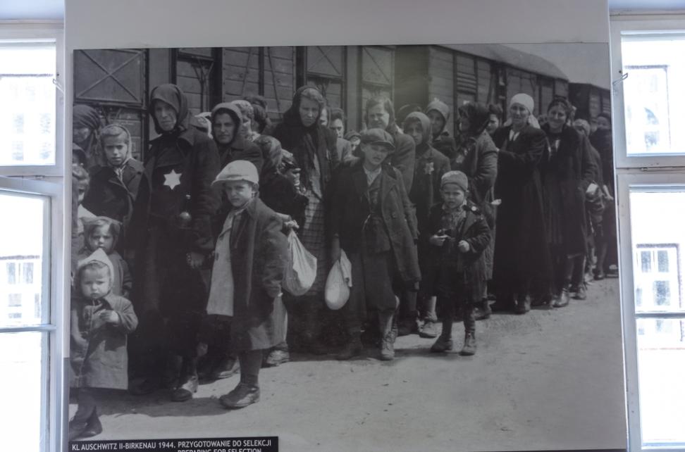 Black-and-white photograph of Jewish men, women, and children wearing coats and carrying bags, standing in a line beside a train at Auschwitz-Birkenau in 1944, many with Star of David badges visible on their clothing.